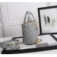 Dior Small Lady Dior Bag in Cannage Lambskin - Stone Gray