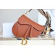 Dior Saddle Bag in Grained Calfskin - Golden Saddle