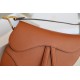 Dior Saddle Bag in Grained Calfskin - Golden Saddle