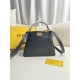 FENDI TIMELESS Peekaboo ISeeU Petite Black Calfskin Leather Bag