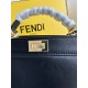 FENDI TIMELESS Peekaboo ISeeU Petite Black Calfskin Leather Bag