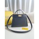 FENDI TIMELESS Peekaboo ISeeU Small Black Calfskin Bag