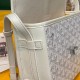 GOYARD Belvedere PM Messenger Bag - White