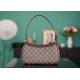 GUCCI Ophidia Small Shoulder Handbag - Beige and Ebony GG Supreme