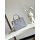 Louis Vuitton OnTheGo PM Toto Bag in Calfskin Leather - Gray