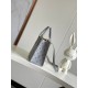 Louis Vuitton OnTheGo PM Toto Bag in Calfskin Leather - Gray