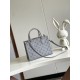 Louis Vuitton OnTheGo PM Toto Bag in Calfskin Leather - Gray