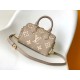 Louis Vuitton Speedy Bandoulière 20 Handle Shoulder Bag in Bicolor Monogram Leather - Gray/Beige