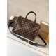 Louis Vuitton Speedy Bandoulière 25 Handle Shoulder Bag in Damier Ebene Canvas