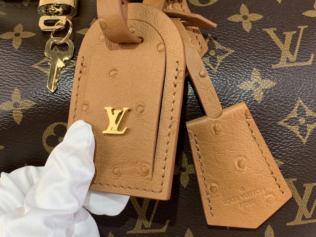 Louis Vuitton Speedy Bandoulière 20 Handle Shoulder Bag - Multicolor Beige