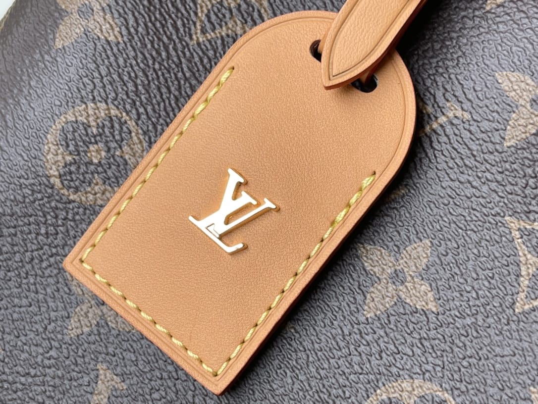 Louis Vuitton CarryAll PM Shoulder Bag in Monogram Coated Canvas