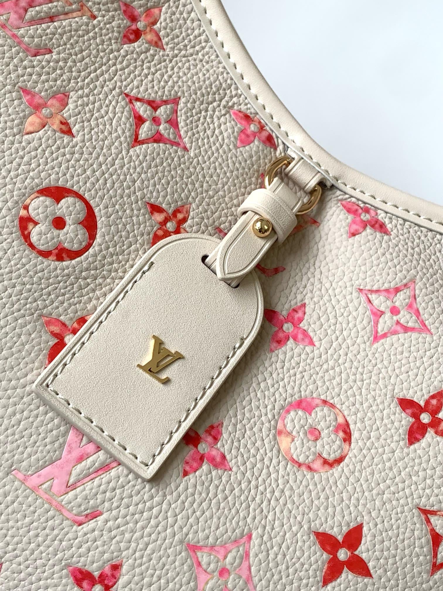 Louis Vuitton CarryAll PM Shoulder Bag in Monogram Grained Cowhide Leather - Sunrise Aquarelle