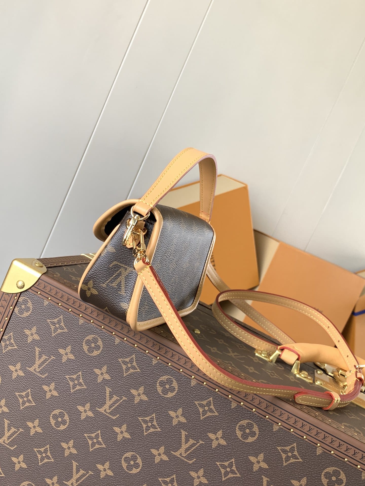 Louis Vuitton Nano Diane Handle Shoulder Bag in Monogram Coated Canvas