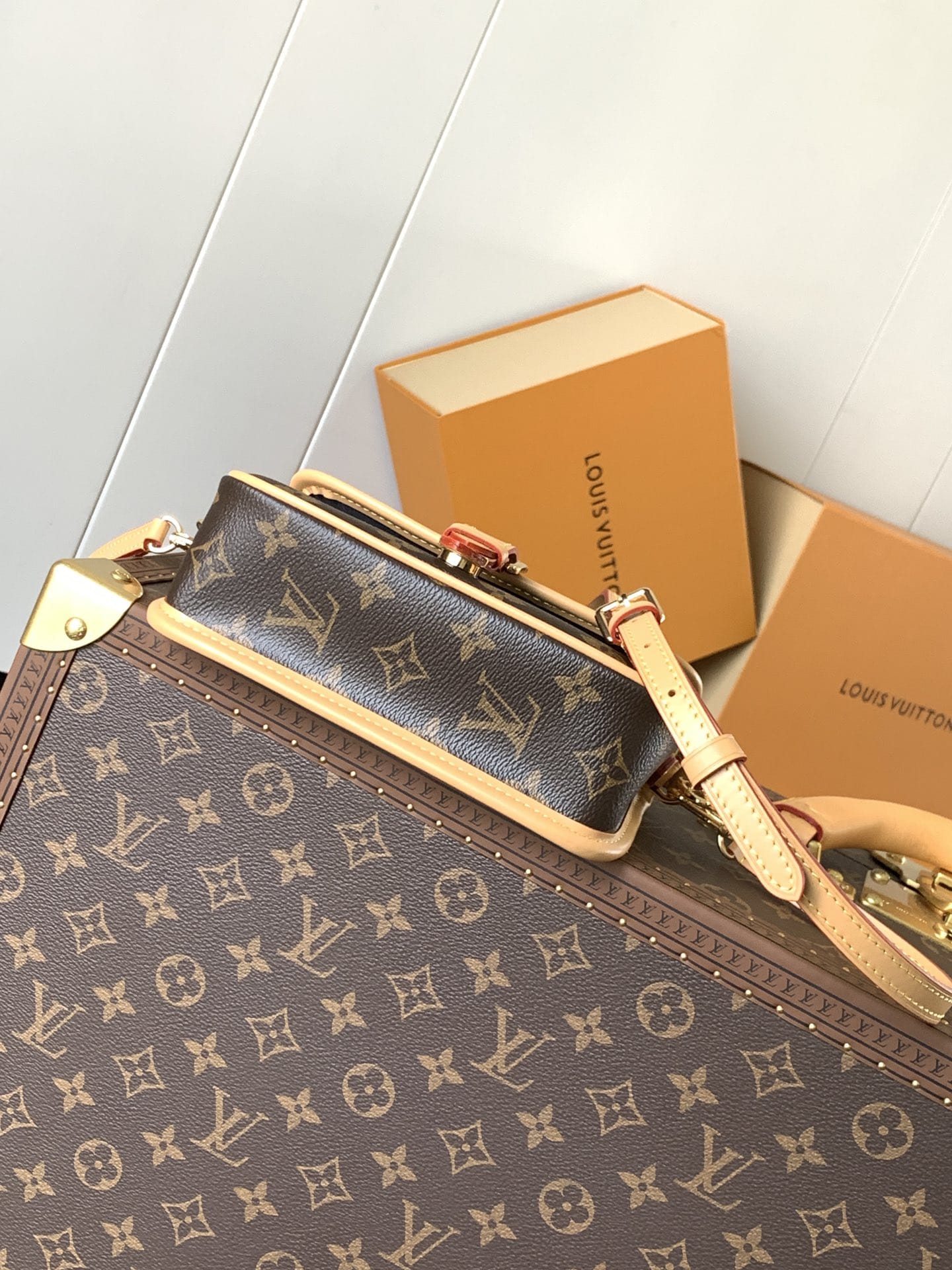 Louis Vuitton Nano Diane Handle Shoulder Bag in Monogram Coated Canvas