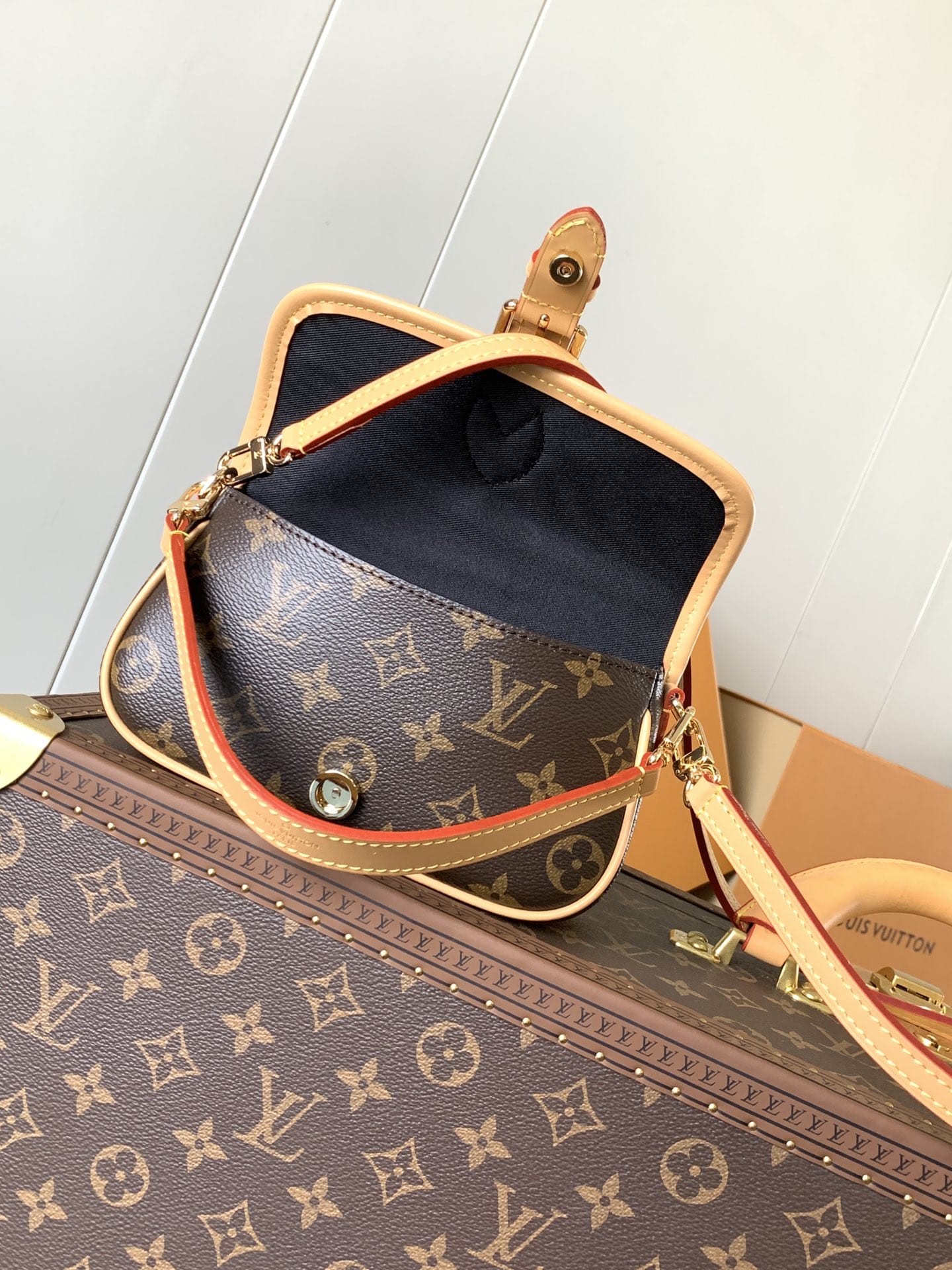 Louis Vuitton Nano Diane Handle Shoulder Bag in Monogram Coated Canvas