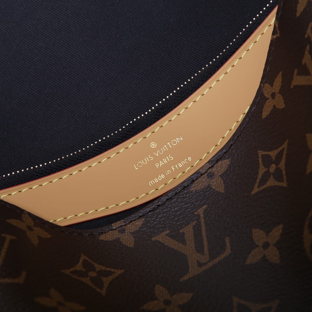 Louis Vuitton Diane Handle Shoulder Bag in Monogram Coated Canvas