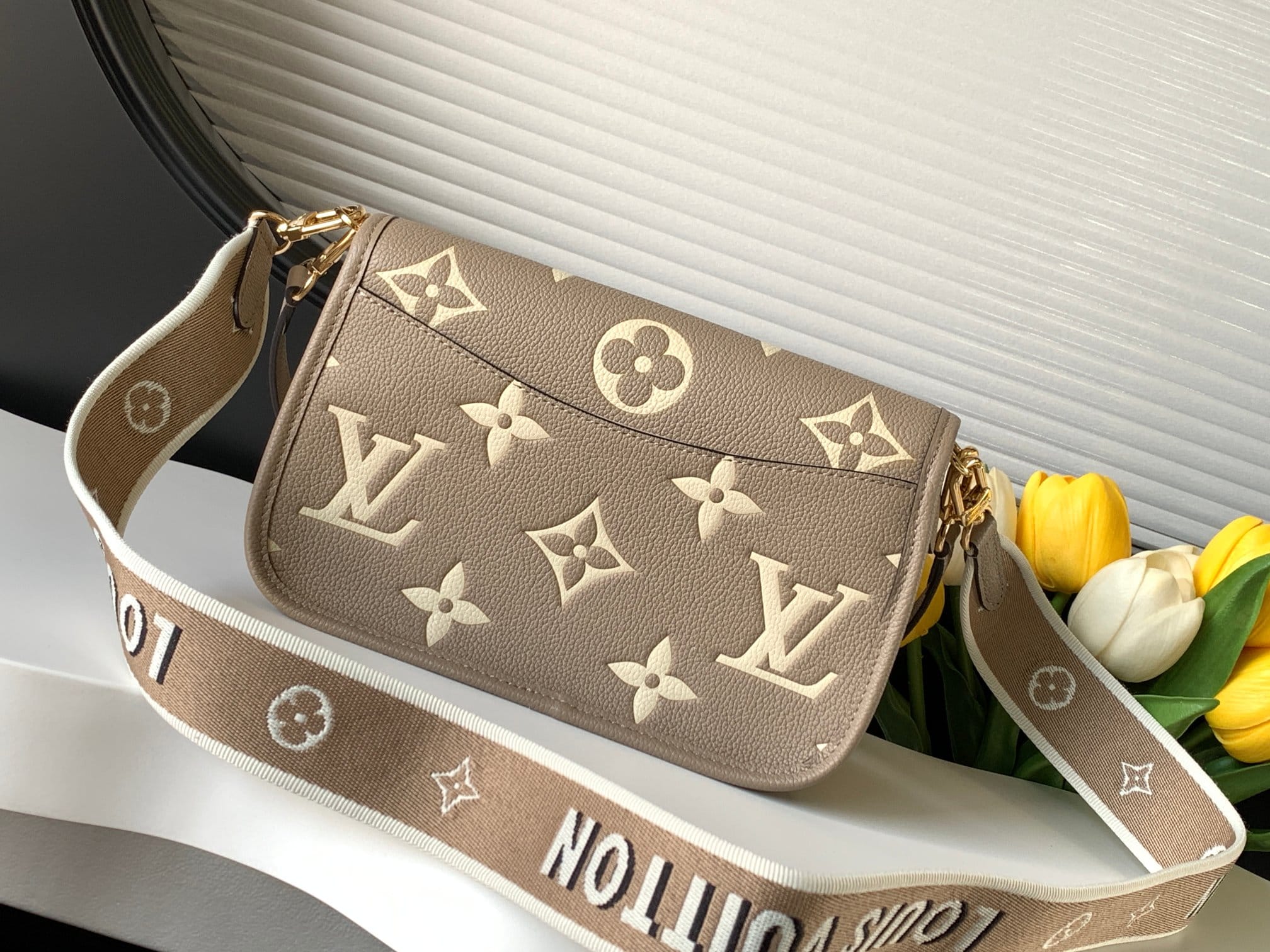 Louis Vuitton Diane Handle Shoulder Bag in Bicolor Monogram Empreinte Leather