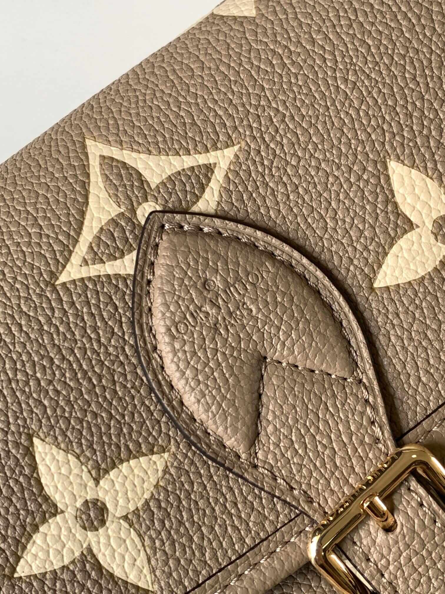 Louis Vuitton Diane Handle Shoulder Bag in Bicolor Monogram Empreinte Leather