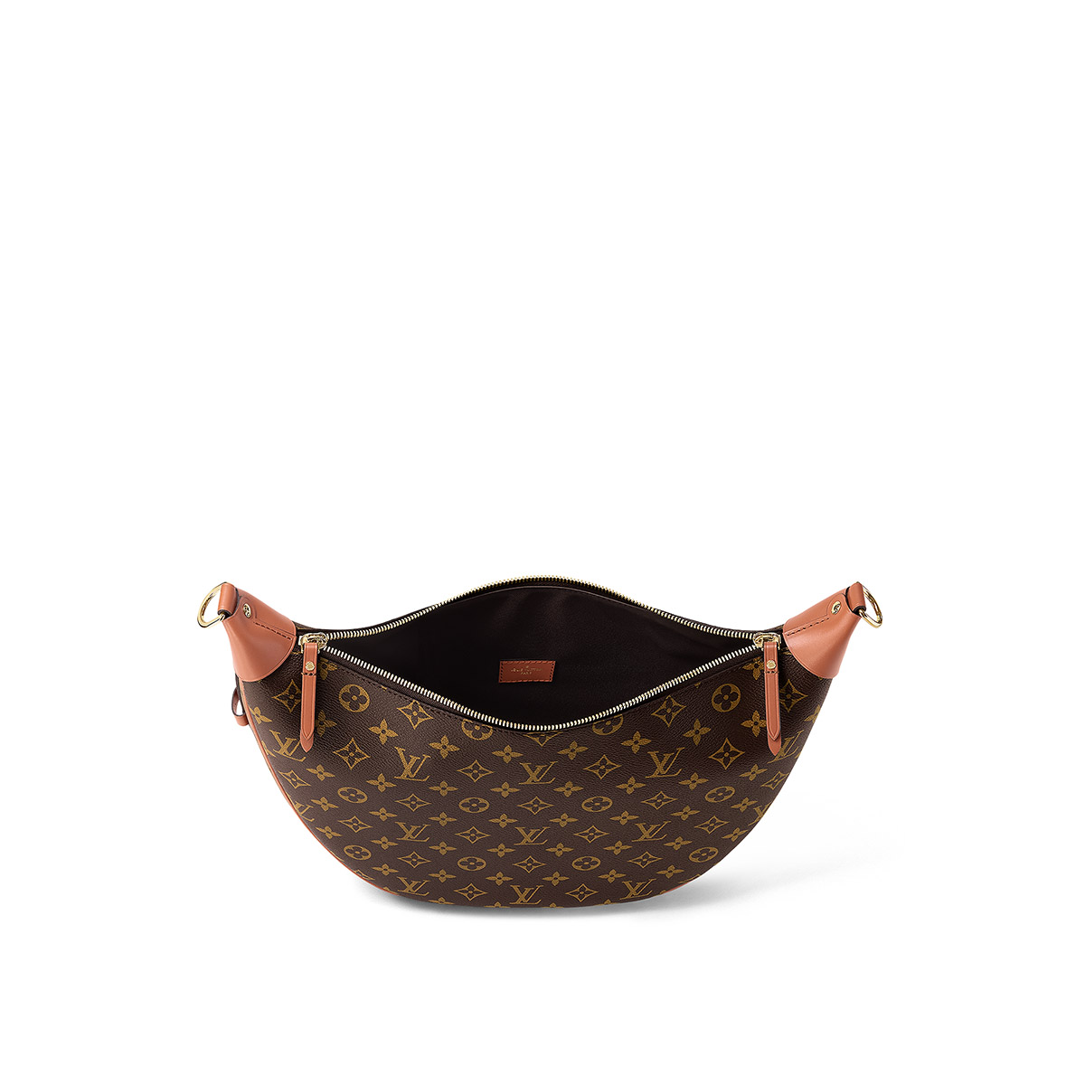 Louis Vuitton Loop Hobo Bag in Monogram Canvas