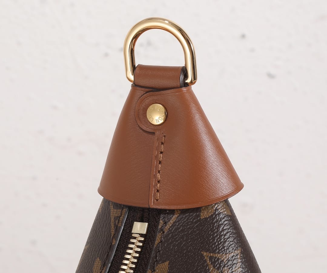 Louis Vuitton Loop Hobo Bag in Monogram Canvas