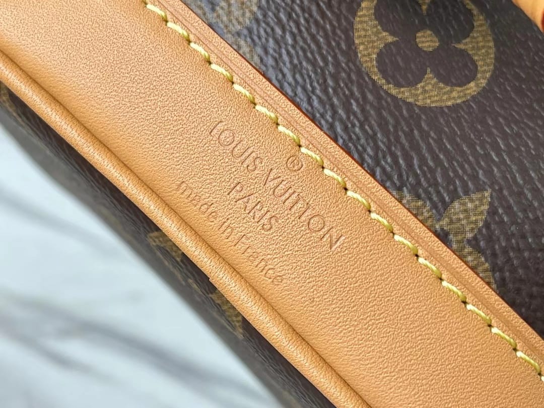 Louis Vuitton Nano Noé Handle Bag in Monogram Canvas